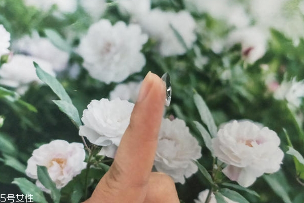 海昌隱形眼鏡怎么樣 舒適度和性價比雙高 海昌隱形眼鏡怎么樣 舒適度和性價比雙高