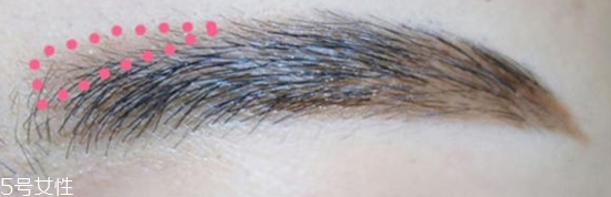 長臉適合什么眉型 氣質細長眉毛畫法