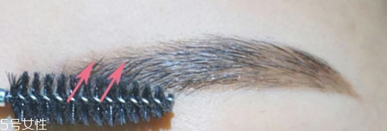 長臉適合什么眉型 氣質細長眉毛畫法