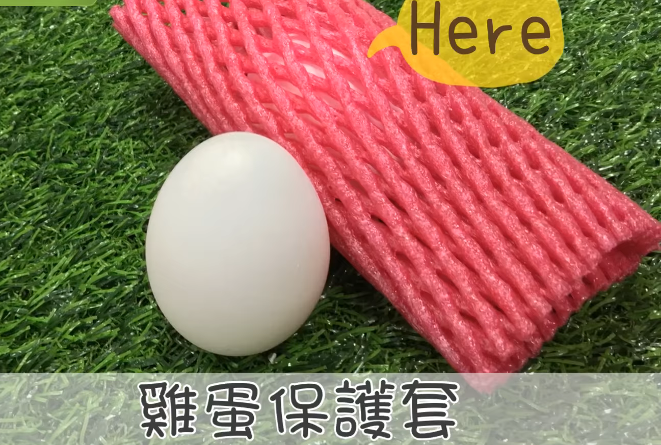 水果泡沫網(wǎng)套的妙用 5大妙用省錢(qián)省事