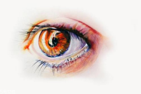 麥粒腫熱敷有用嗎 麥粒腫熱敷還是冷敷 麥粒腫熱敷有用嗎 麥粒腫熱敷還是冷敷