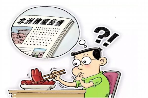 非洲豬瘟傳染人嗎 肉還能吃嗎 非洲豬瘟傳染人嗎 肉還能吃嗎