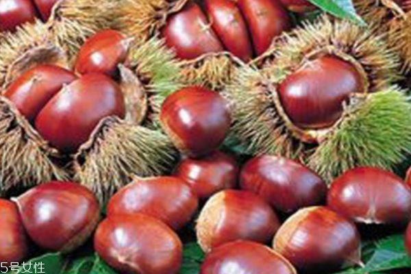 板栗熱量高嗎會(huì)發(fā)胖嗎 一天吃多少合適 板栗熱量高嗎會(huì)發(fā)胖嗎 一天吃多少合適