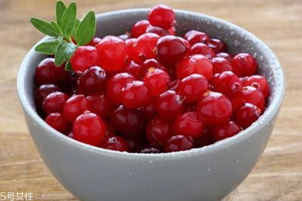 蔓越莓產地哪里的好 蔓越莓最優(yōu)質3大產地