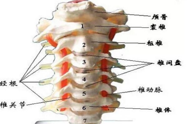 富貴包會引起什么病 教你如何預(yù)防 富貴包會引起什么病 教你如何預(yù)防