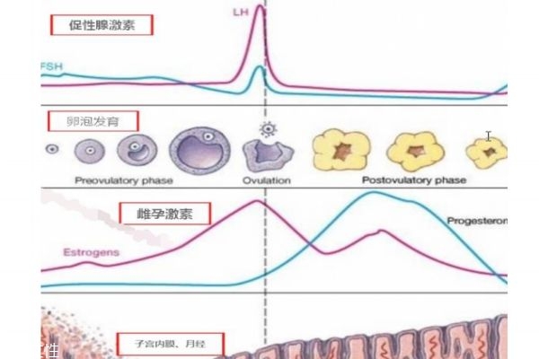 高齡如何備孕 這幾點一定要注意 高齡如何備孕 這幾點一定要注意