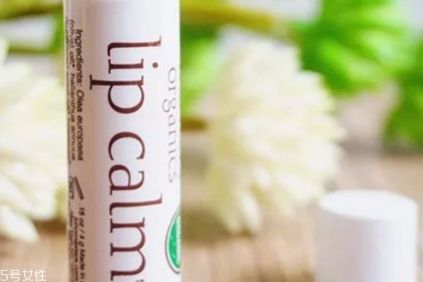 潤唇膏可以天天用嗎 唇膏的使用須知 潤唇膏可以天天用嗎 唇膏的使用須知
