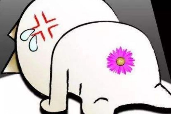 痔瘡手術后排便技巧 術后要注意什么 痔瘡手術后排便技巧 術后要注意什么