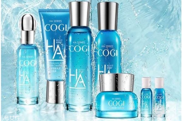 高姿玻尿酸肌活水嫩禮盒怎么樣 高姿玻尿酸補(bǔ)水保濕 高姿玻尿酸肌活水嫩禮盒怎么樣 高姿玻尿酸補(bǔ)水保濕