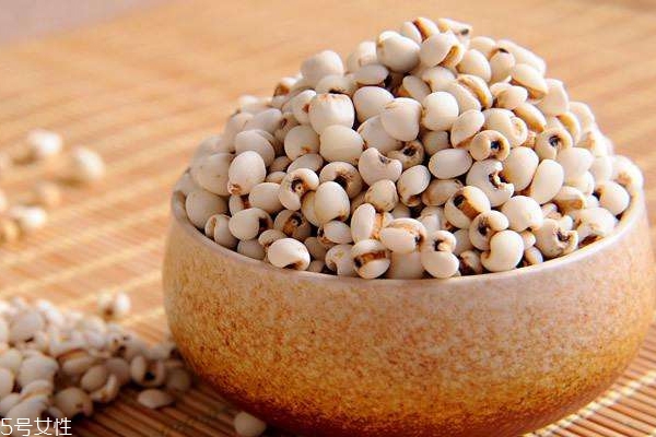 薏米是什么氣味 薏米過(guò)期是什么氣味 薏米是什么氣味 薏米過(guò)期是什么氣味