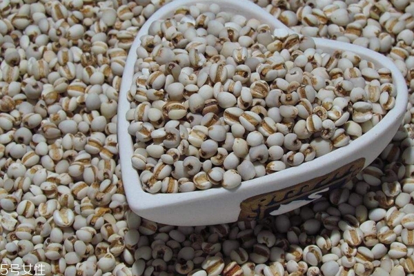 薏米是什么氣味 薏米過(guò)期是什么氣味 薏米是什么氣味 薏米過(guò)期是什么氣味