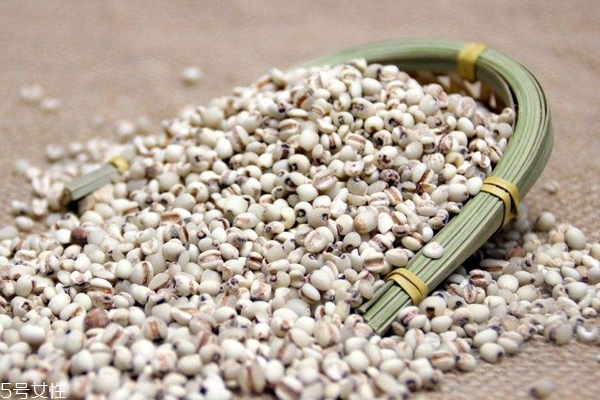 薏米是什么氣味 薏米過(guò)期是什么氣味 薏米是什么氣味 薏米過(guò)期是什么氣味