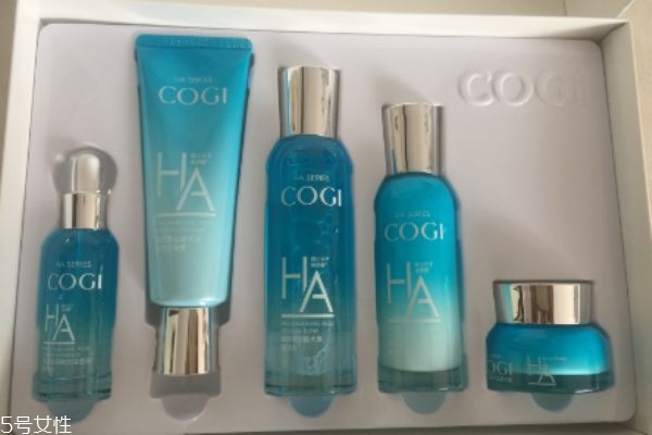 高姿玻尿酸護(hù)膚品多少錢(qián) 高姿玻尿酸護(hù)膚品適合膚質(zhì) 高姿玻尿酸護(hù)膚品多少錢(qián) 高姿玻尿酸護(hù)膚品適合膚質(zhì)