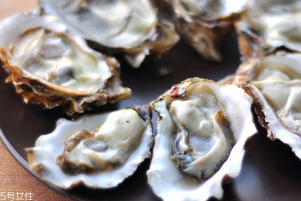 生蠔能放多久 超過(guò)1周非常瘦 生蠔能放多久 超過(guò)1周非常瘦