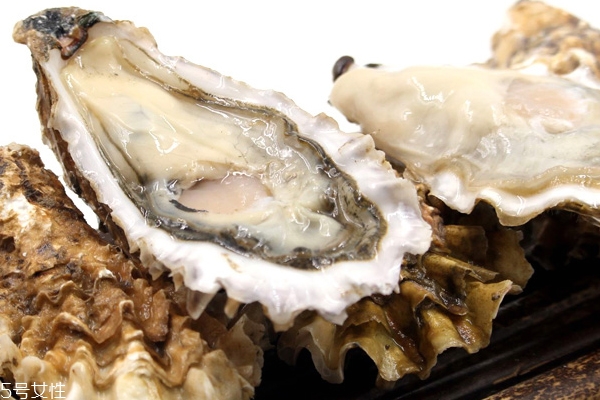 生蠔能放多久 超過(guò)1周非常瘦 生蠔能放多久 超過(guò)1周非常瘦