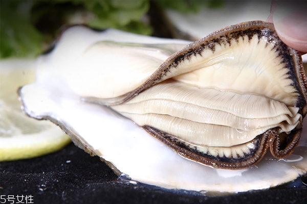 生蠔開口了還能吃嗎 未開口才新鮮 生蠔開口了還能吃嗎 未開口才新鮮