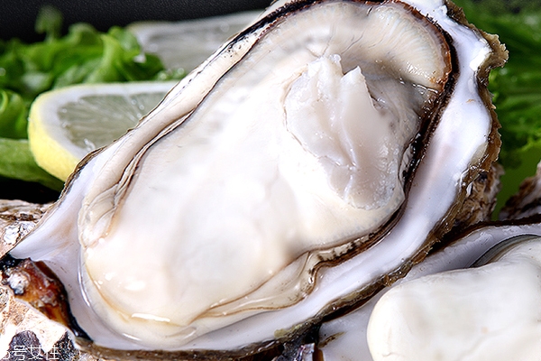 生蠔開口了還能吃嗎 未開口才新鮮 生蠔開口了還能吃嗎 未開口才新鮮