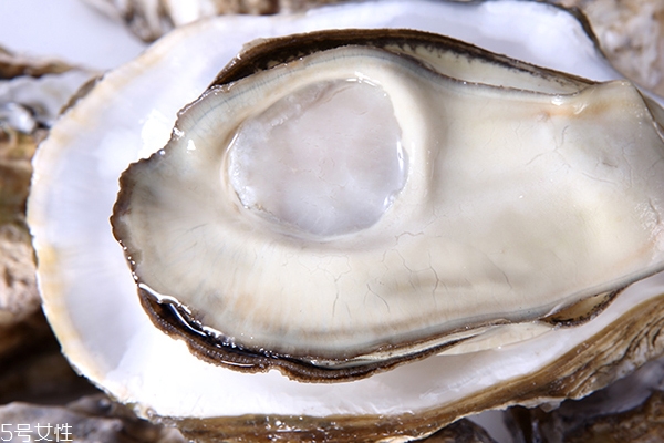生蠔開口了還能吃嗎 未開口才新鮮 生蠔開口了還能吃嗎 未開口才新鮮