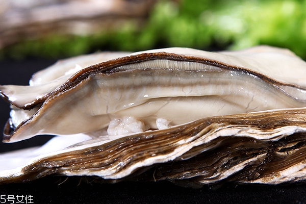 生蠔味道腥嗎 聞到腥味千萬別買 生蠔味道腥嗎 聞到腥味千萬別買