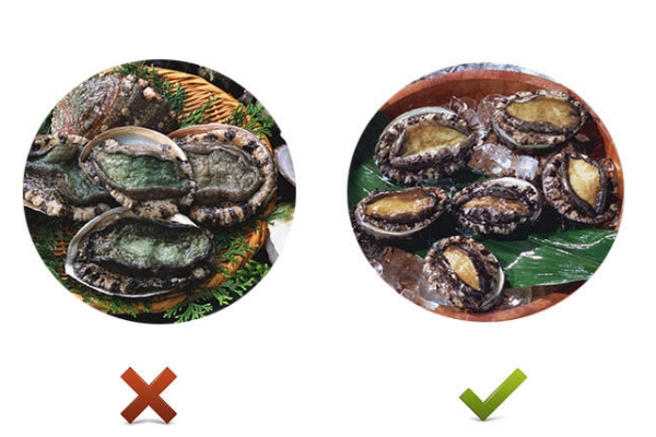 鮑魚(yú)發(fā)綠變硬還能吃嗎 不新鮮不能吃 鮑魚(yú)發(fā)綠變硬還能吃嗎 不新鮮不能吃