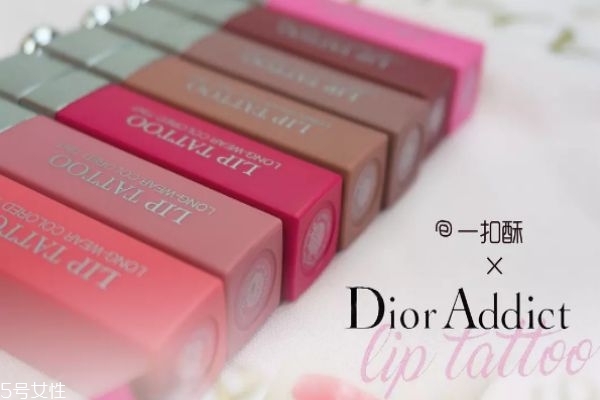 迪奧染唇液怎么樣 迪奧染唇液試色 迪奧染唇液怎么樣 迪奧染唇液試色