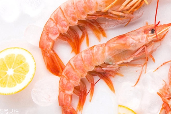 阿根廷紅蝦有活的么 離開自己的家無法存活 阿根廷紅蝦有活的么 離開自己的家無法存活