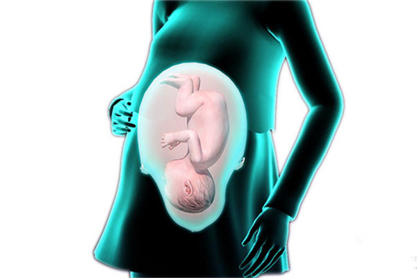 胎動(dòng)什么時(shí)候開始 胎動(dòng)過少須慎重 胎動(dòng)什么時(shí)候開始 胎動(dòng)過少須慎重