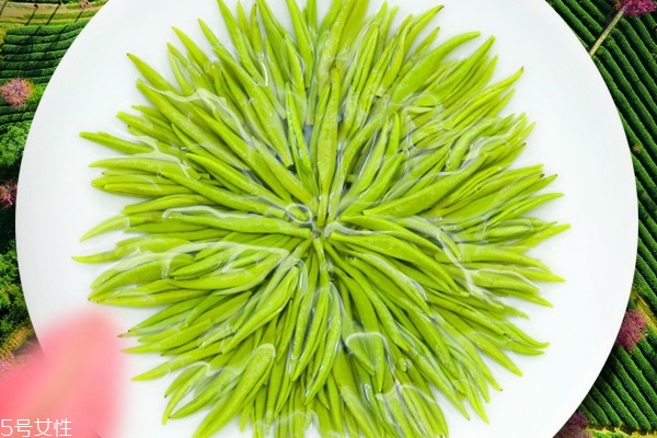 明前茶和雨前茶的區(qū)別 明前茶好還是雨前茶好 明前茶和雨前茶的區(qū)別 明前茶好還是雨前茶好