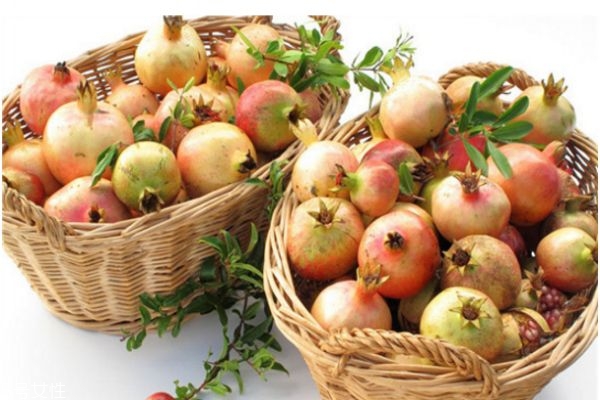 石榴怎么挑選 石榴全身都是寶 石榴怎么挑選 石榴全身都是寶