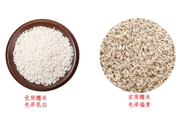 糯米怎么挑選才對(duì) 糯米什么顏色才好 糯米怎么挑選才對(duì) 糯米什么顏色才好