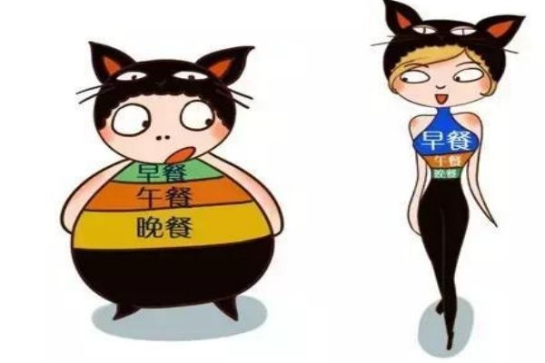 不吃早餐會(huì)胖嗎 不吃早餐的危害 不吃早餐會(huì)胖嗎 不吃早餐的危害