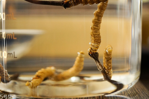 冬蟲(chóng)夏草是蟲(chóng)還是草?冬蟲(chóng)夏草是怎樣形成的 冬蟲(chóng)夏草是蟲(chóng)還是草?冬蟲(chóng)夏草是怎樣形成的