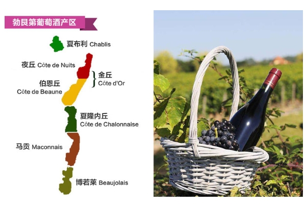 法國(guó)紅酒哪個(gè)地方的好 法國(guó)最有名3大產(chǎn)地 法國(guó)紅酒哪個(gè)地方的好 法國(guó)最有名3大產(chǎn)地
