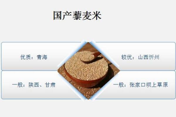 藜麥產(chǎn)地哪里最好 國(guó)內(nèi)藜麥pk國(guó)外藜麥 藜麥產(chǎn)地哪里最好 國(guó)內(nèi)藜麥pk國(guó)外藜麥