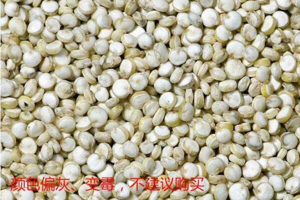 藜麥?zhǔn)裁搭伾珷I養(yǎng)最高 不同顏色營養(yǎng)差別并不大 藜麥?zhǔn)裁搭伾珷I養(yǎng)最高 不同顏色營養(yǎng)差別并不大