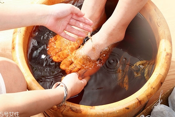 艾葉怎么熏房間 這樣才是正確方法 艾葉怎么熏房間 這樣才是正確方法