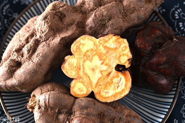 何首烏治婦科病嗎 要對癥才行 何首烏治婦科病嗎 要對癥才行