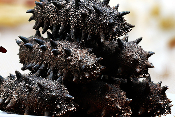 凍干海參好不好 營養(yǎng)保留最全面 凍干海參好不好 營養(yǎng)保留最全面