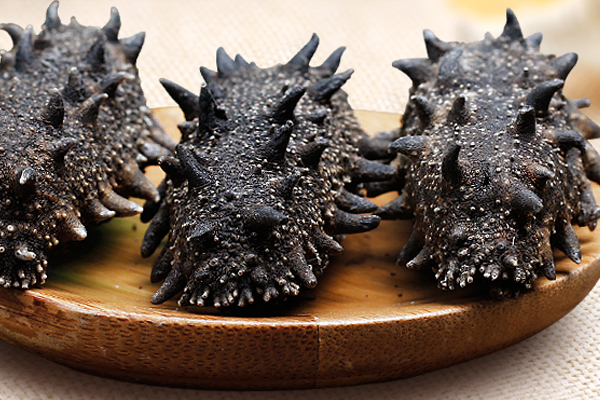 凍干海參好不好 營養(yǎng)保留最全面 凍干海參好不好 營養(yǎng)保留最全面