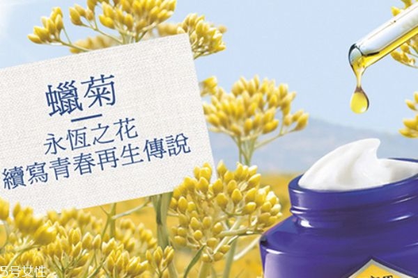 歐舒丹蠟菊面膜好不好 永恒之花續(xù)寫青春再生傳說 歐舒丹蠟菊面膜好不好 永恒之花續(xù)寫青春再生傳說