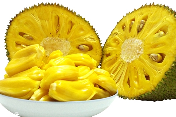 菠蘿蜜為什么貴 有以下原因 菠蘿蜜為什么貴 有以下原因