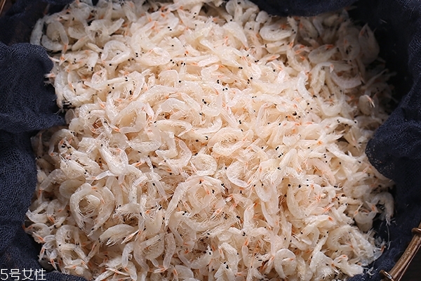 蝦皮是咸的好還是淡的好 看需求用途 蝦皮是咸的好還是淡的好 看需求用途