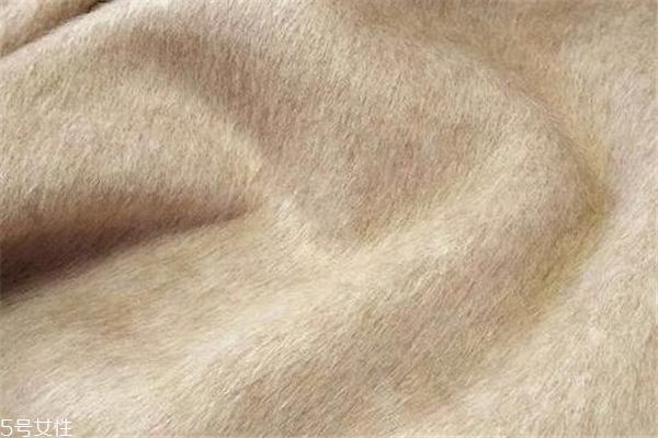 阿爾巴卡和羊絨哪個(gè)好 兩者都很珍貴 阿爾巴卡和羊絨哪個(gè)好 兩者都很珍貴