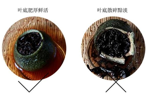 小青柑普洱茶怎么挑選 挑出上好小青柑 小青柑普洱茶怎么挑選 挑出上好小青柑