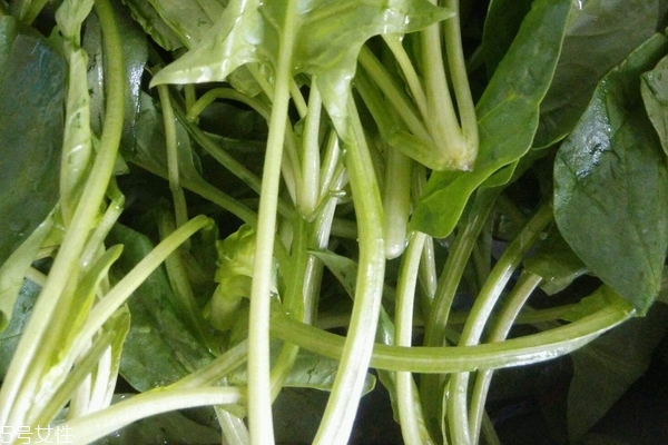 菠菜會(huì)過敏嗎 有這個(gè)可能 菠菜會(huì)過敏嗎 有這個(gè)可能