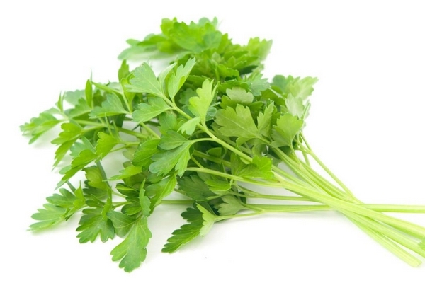 香菜怎么腌制 其實(shí)很簡(jiǎn)單