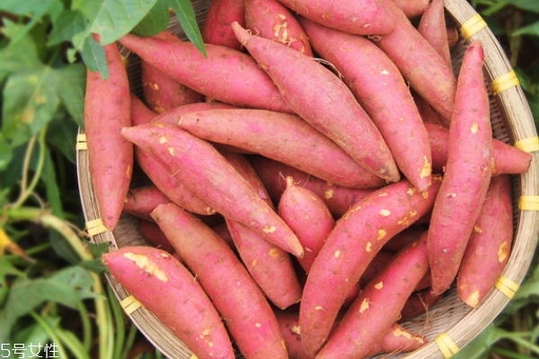 烤紅薯為什么要用錫紙 有這些好處 烤紅薯為什么要用錫紙 有這些好處