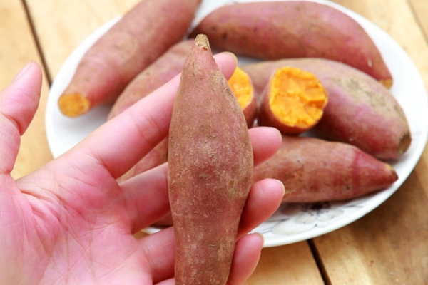 烤紅薯為什么比蒸的甜 水分在作怪 烤紅薯為什么比蒸的甜 水分在作怪