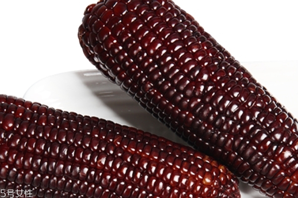 甜玉米能生吃嗎 這個(gè)是可以的 甜玉米能生吃嗎 這個(gè)是可以的