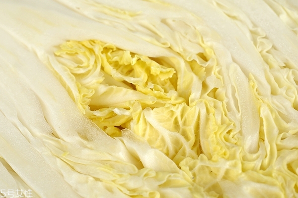 大白菜怎么切 切法很重要 大白菜怎么切 切法很重要